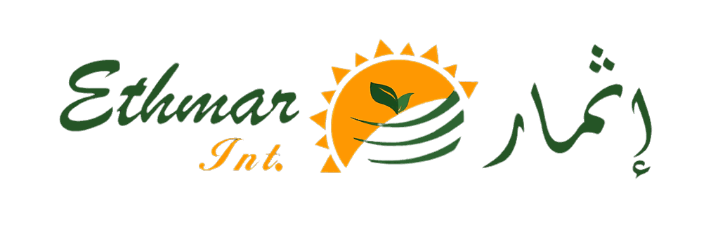 My Website